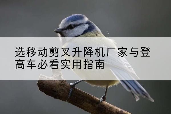 千阳电动升降机厂家-选移动剪叉升降机厂家与登高车必看实用指南