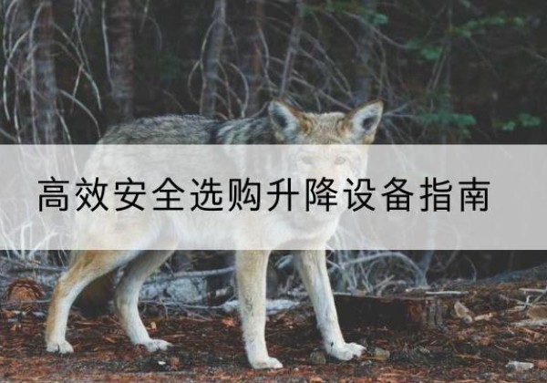 千阳升降货梯厂家推荐-*安全选购升降设备指南