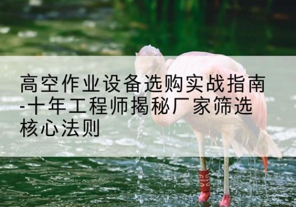 千阳剪叉式升降机厂家-高空作业设备选购实战指南-十年工程师揭秘厂家筛选核心法则