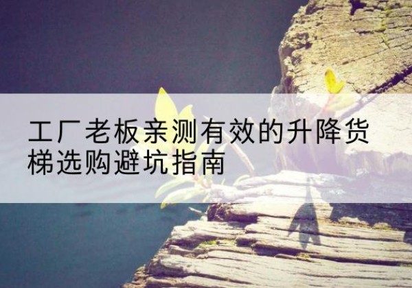 千阳升降货梯怎么选-工厂老板亲测有效的升降货梯选购避坑指南